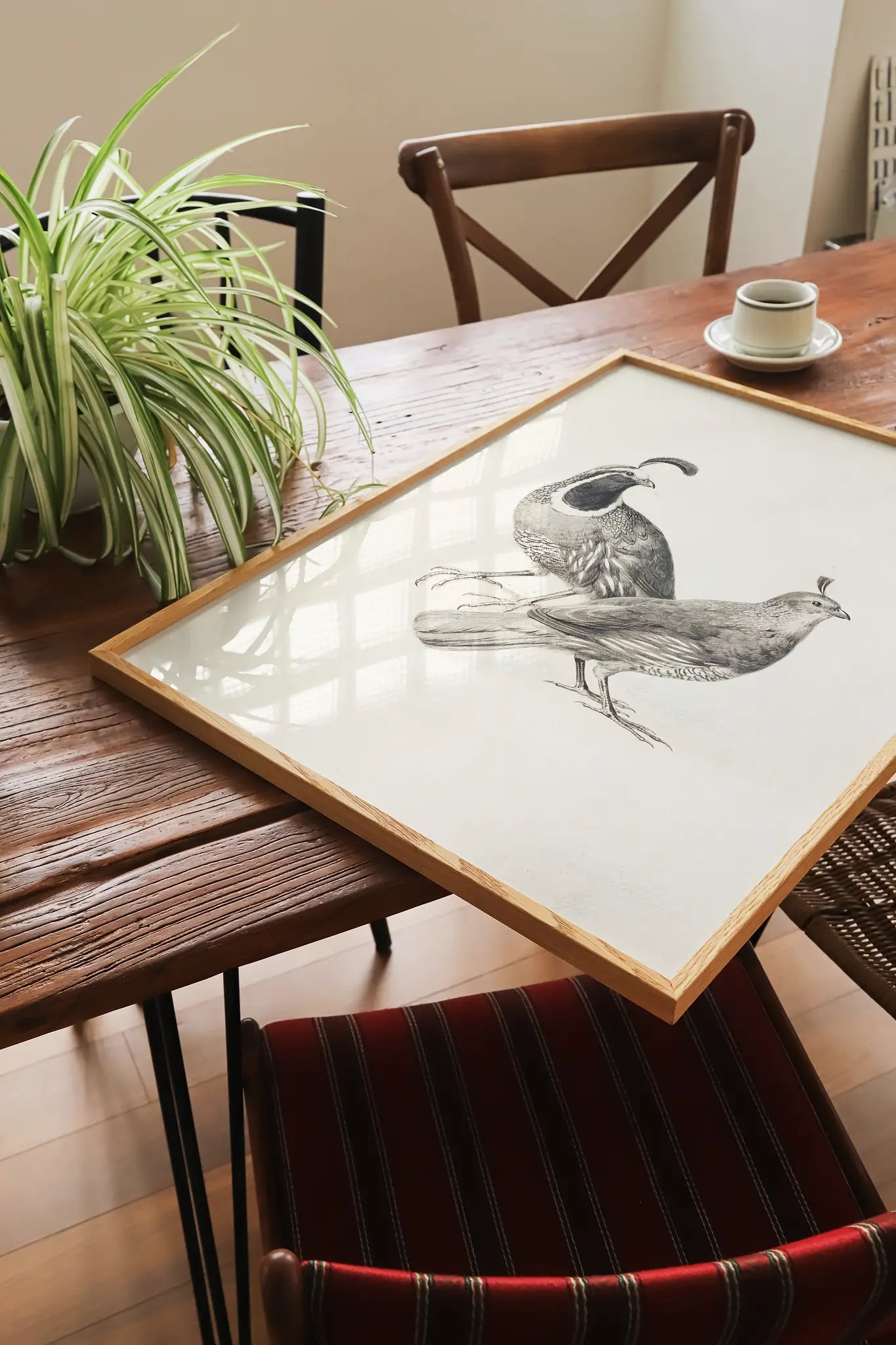 Charles Christian Nahl - Gamble Quail #19 painting reproduction printed by GalleryInk.Art, a store providing farmhouse wall art prints