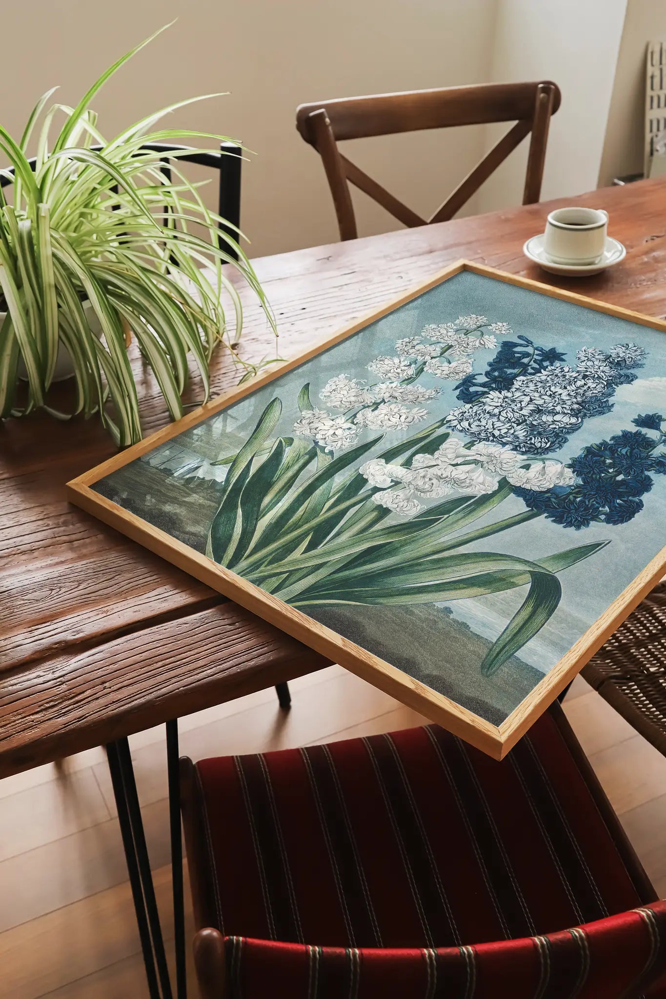 Thomas Warner - Hyacinths #65 a beautiful painting reproduction printed by GalleryInk.Art, a store providing still life wall art prints