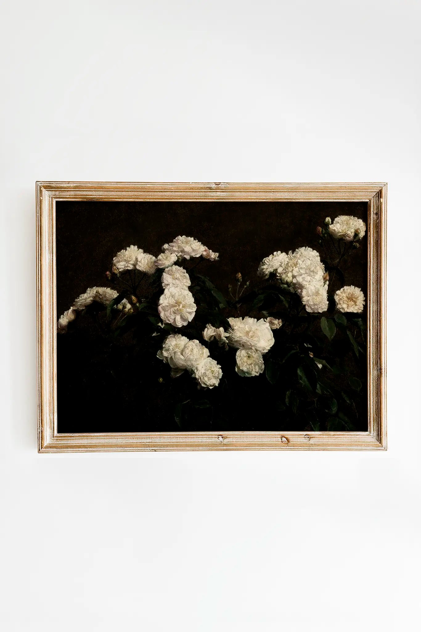 Henri Latour - Still Life of White Roses #15 a beautiful winter painting reproduction printed by GalleryInk.Art