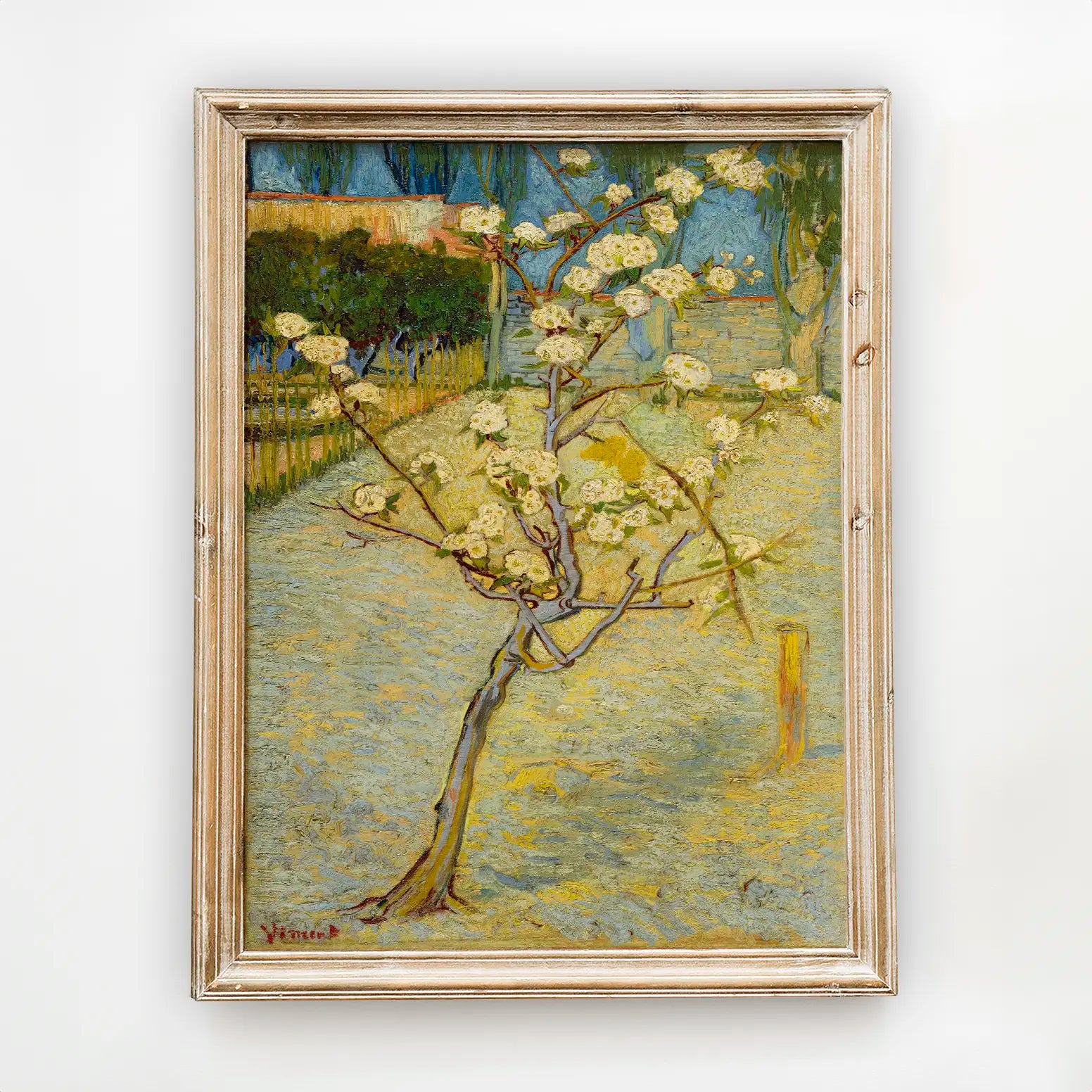 Vincent Van Gogh - Small pear tree in blossom #165 a beautiful painting reproduction by GalleryInk.Art