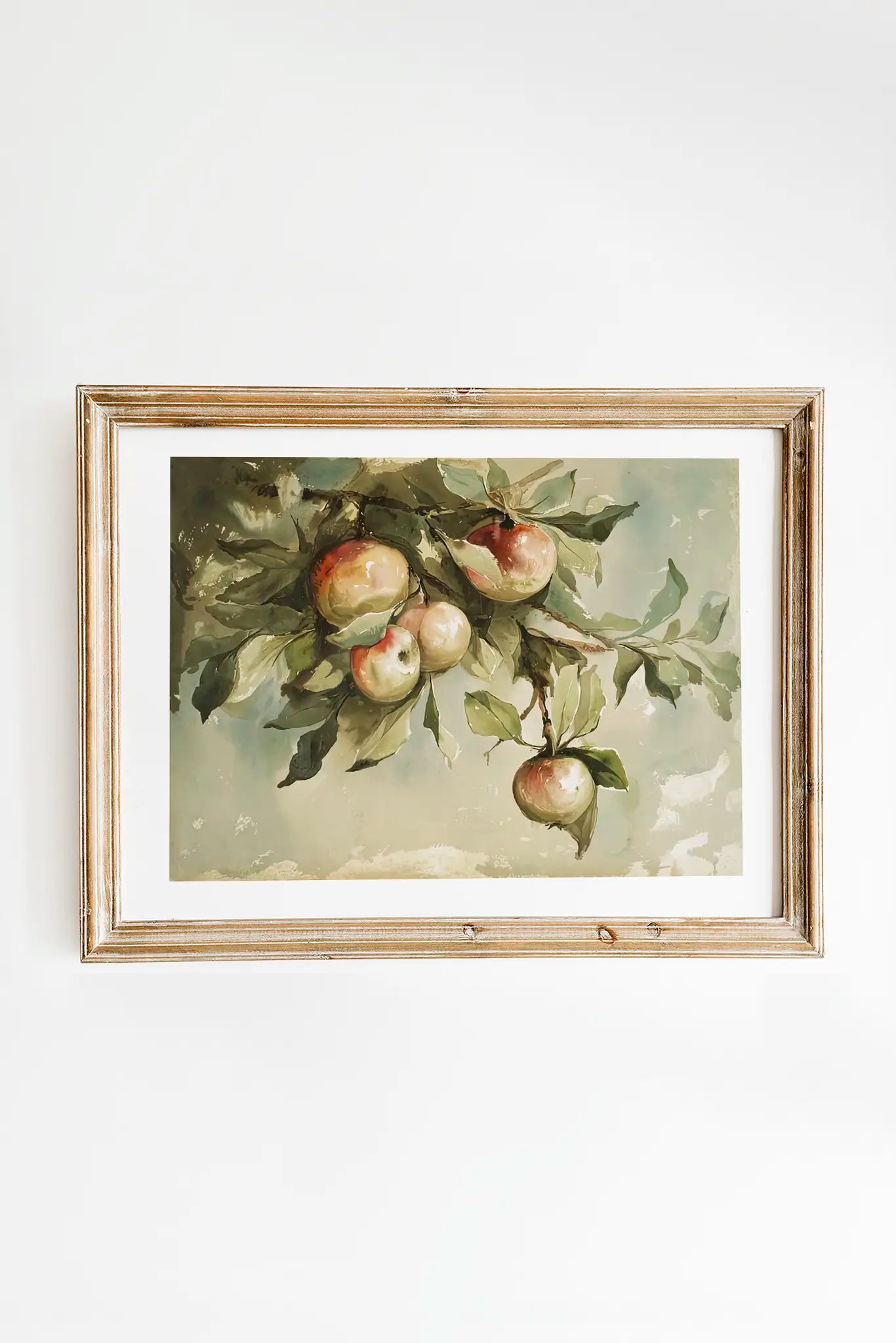 L Prang - Study of Apples #2 a beautiful painting reproduction printed by GalleryInk.Art, a store providing vintage farmhouse prints