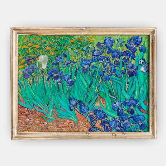 Vincent Van Gogh - Irises (1889) #276