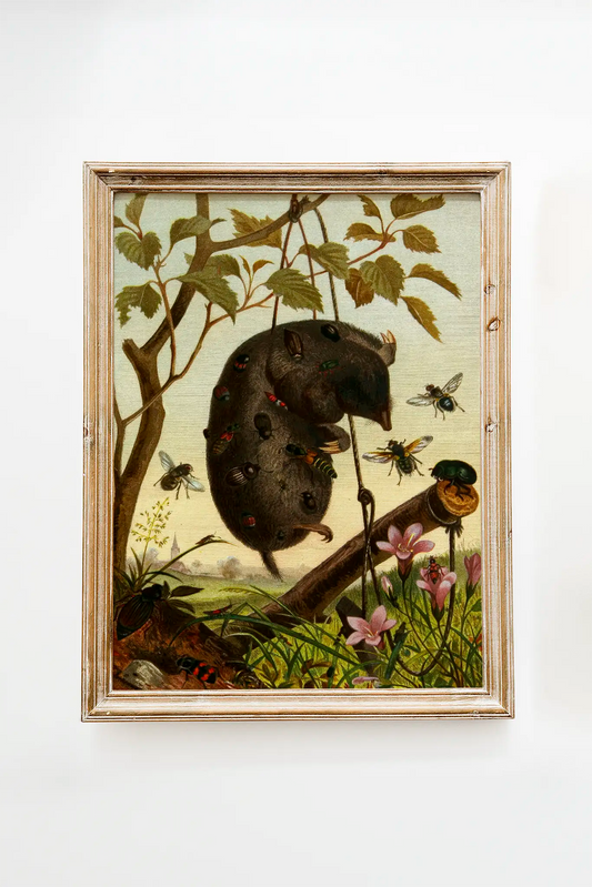 Alfred Edmund Brehm - Die Insekten, Tausendfüssler und Spinnen Pl 04 #16 a beautiful painting reproduction by GalleryInk.Art