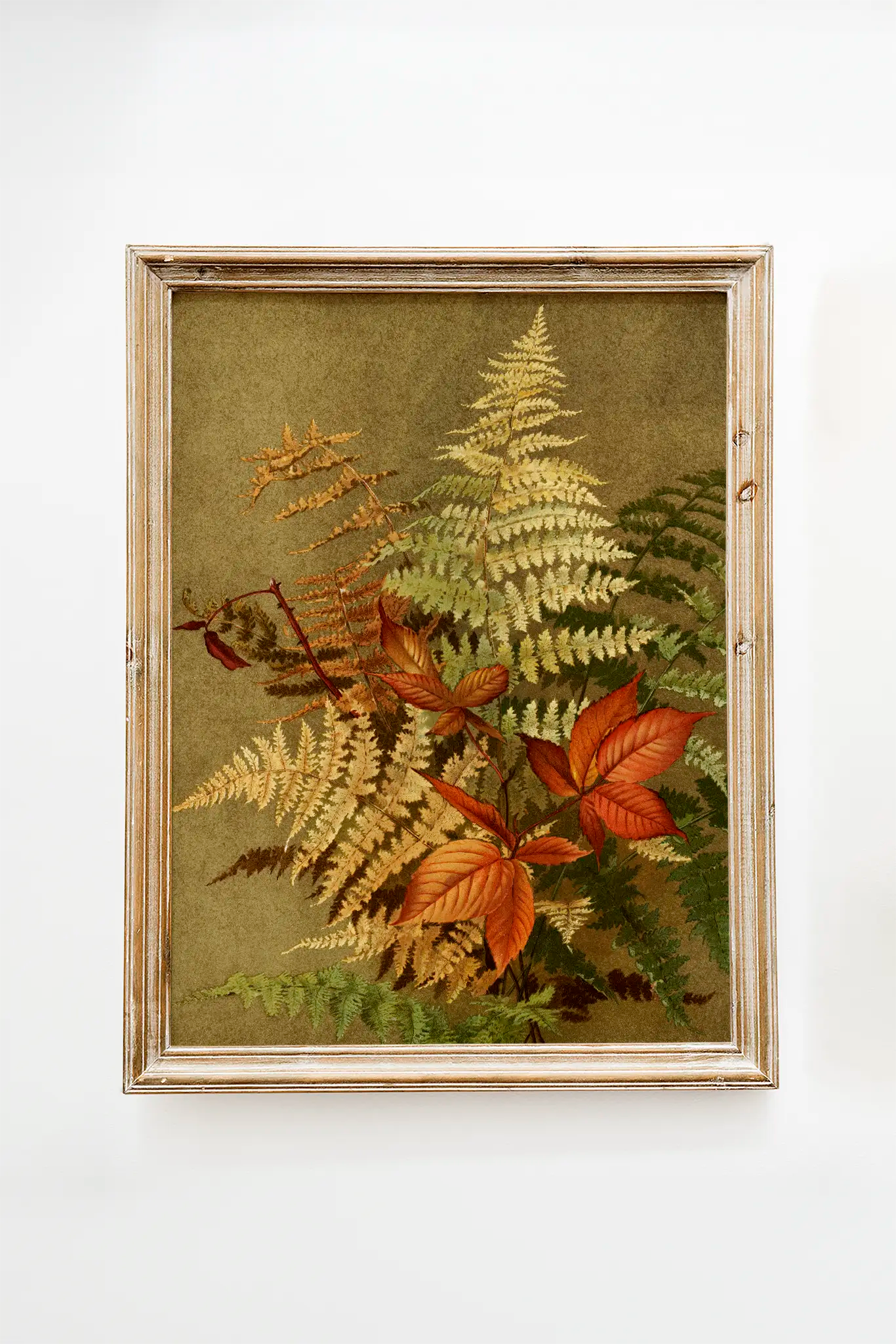 Autumn Ferns (1887) - Ellen Fisher #222 a beautiful painting reproduction by GalleryInk.Art