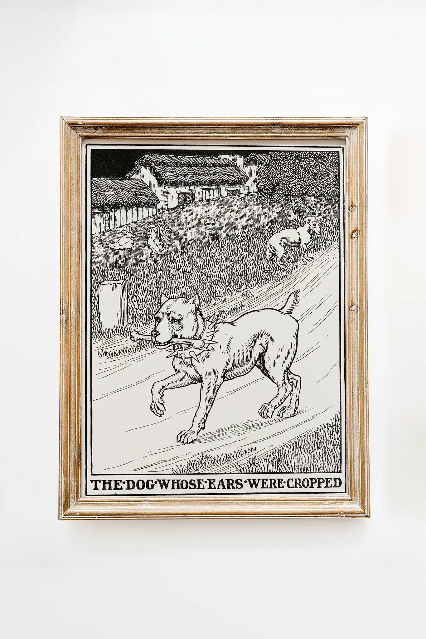 Percy J. Billinghurst - The Dog whose Ears were Cropped #131 vintage print reproduction printed by GalleryInk.Art, a store providing contemporary wall art prints