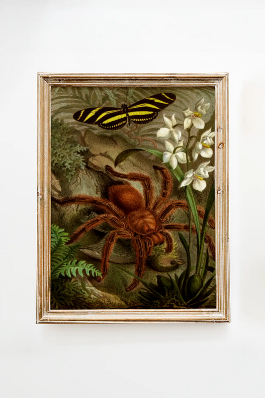 Alfred Edmund Brehm - Die Insekten, Tausendfüssler und Spinnen Pl 21 #1 a beautiful painting reproduction by GalleryInk.Art